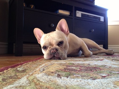 KimAmbrose's profile picture. 