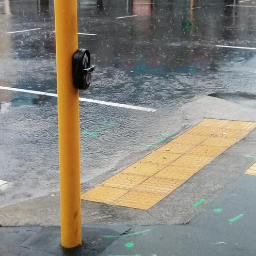 Taranaki St Puddle Profile
