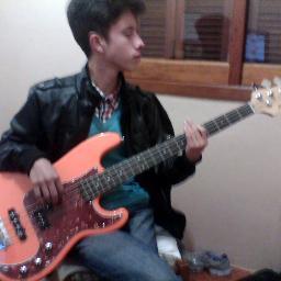 Sagitariano,fã dos beatles,baixista,compositor,diabético,ps3,budweiser,  coca cola,cappuccino,hétero,desempregado,Caic Madezatti,fluente em inglês :)