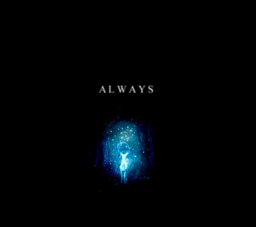 Universe1Harry's profile picture. A fan page dedicated to those of us who want to keep the greatest series ever written alive. 
#HPForever #Always