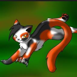 Apprentice of iceclan. Whitehawk's sister. Theme- heart attack. Best Friends- @swiftflameshade @lights_of_flame @sharp_thornclaw @snow_blaze1 @dark_talons
