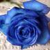 \̊Ȋ̲̳̊̊\̲̳̊̈Ȋ̲̳̊̊̊/̊ (@tsa707) Twitter profile photo \̊Ȋ̲̳̊̊\̲̳̊̈Ȋ̲̳̊̊̊/̊ (@tsa707) Twitter profile photo