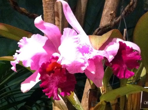 meghoyer's profile picture. 