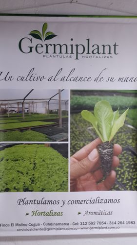 Hacemos huertas urbanas, paisajismo con hortalizas , aromaticas y ornamentales.