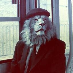 Bienvenidos al rinconcito de Madafacar. [:
