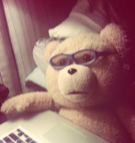 Me gustaria ser un oso como ted..
#followback