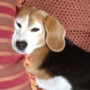 Kate Bond - @katej007 - Twitter