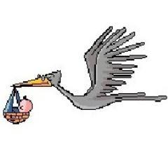 NusleyBabycare's profile picture. 