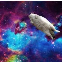 MirrorImagines's profile picture. Never forget. Dream on.   I never tweet but I'm still lurking