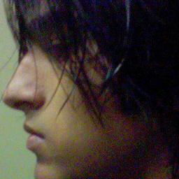 Rafinhabh19's profile picture. 