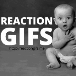 lolreactiongifs's profile picture. Official Twitter Page of http://t.co/z0o2kLTN2Z #ReactionGifs