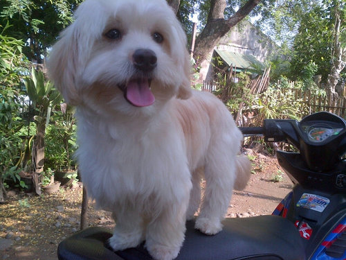 jay12vision's profile picture. Jesus' Freak. BBaller. Tour Rider. Bassist.