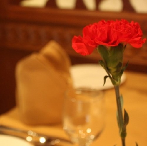 3ash8t3saaf's profile picture. اللهم انك عفو كريم تحب العفو فاعفو عني .. من تواضع لله رفعه ... Dubai