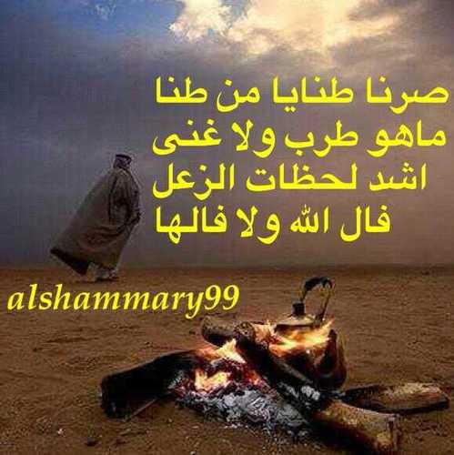 شمري يبعدحي وموحد سلفي