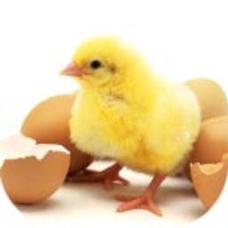 Kranke Kranke 1049 Twitter