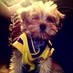 DJ King of LEON (@babydjleon) Twitter profile photo DJ King of LEON (@babydjleon) Twitter profile photo