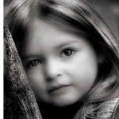 grt luvr of music ...and trustng that without music life is an error!!!!!!!