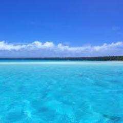 I like the dreams of the future better than the history of the past.-Patrick Henry