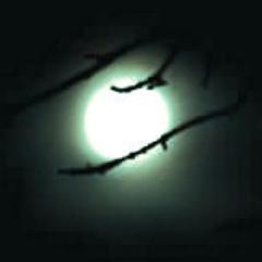 brianamoreau's profile picture. Part-time writer & blogger. I'm a,Sleepy Hollow, Game of Thrones, Grimm and Outlander fan.