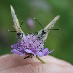 AUDREYERS1984's profile picture. 