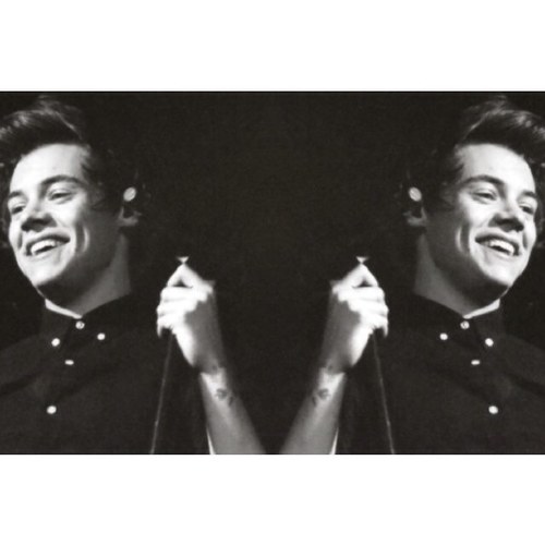 Harry please follow @pradazarry @nicolepaiige and @guccinirry we have tried so hard :(
