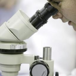 First Semester Practicals in the School of Biological Sciences