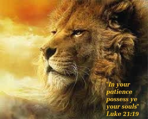 Mankind On Twitter Die Engel Van Die Here Trek N Laer Rondom Die Wat Hom Vrees En Red Hulle Uit Psalm 34 8