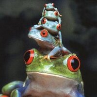 Slippy Charms (@slippycharms) 's Twitter Profile