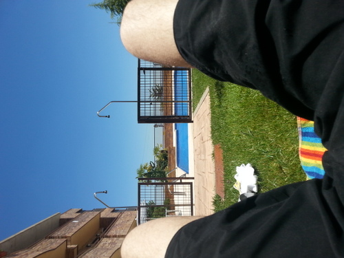 rober_enriquez's profile picture. Twitch Rabotronik