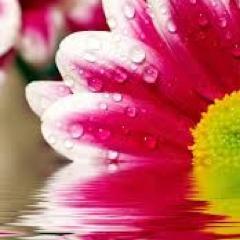 No one has ever made himself great by showing how small someone else is.-Irvin Himmel