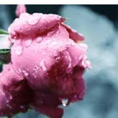 Don’t wait for extraordinary opportunities. Seize common occasions and make them great.-Orison Swett Marden
