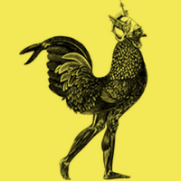 Run Jump Fly Ltd. (@runjumpflyuk) 's Twitter Profile