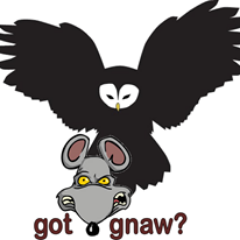 primeOwltech's profile picture. We help people feel at ease when working with computers. We perform PC upgrades for users who want fast, simple and problem-free systems.