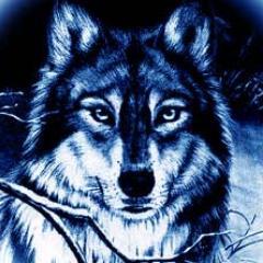 Avid Reader, Lover of Pizza Lover of the Paranormal and all around Sci-Fi/Horror Movie Lover.