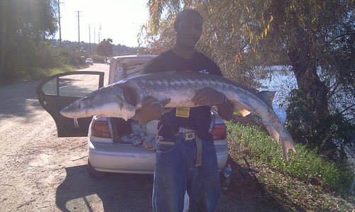 IG: rated200proof™ - MOST Interestin' Dude Alive... Poet/Writer - fisherman - Suspicious 0bserver  Contact: rapture_90802@hotmail.com