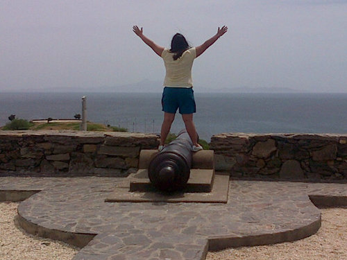 mmarcanos's profile picture. 