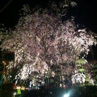 DJ会長 (@joedjkai) 's Twitter Profile
