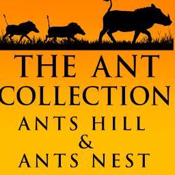Ant's Nest & Ant's Hill provide a real home from home experience. Flexible family holidays include game drives, game walks, mountain biking & horse back safaris