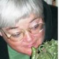 Anne M. Pillsworth Profile