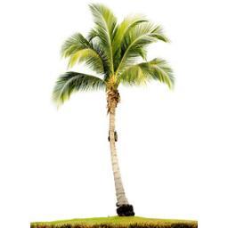 Curious Travel Destinations