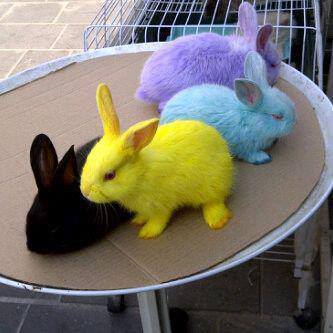 sharmin1793's profile picture. 