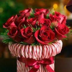 cgmona's profile picture. Jubilada del Poder Legislativo, Madre de 2 varones y 3 nietos, de 3ra edad, muy feliz, agradecida a Dios, con perspectivas de vivir muchísimo más.