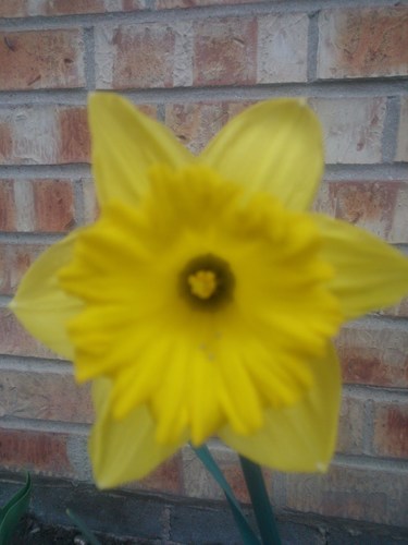 Tatyana Adrian Profile