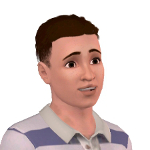 WheatleySimmer's profile picture. The Official Twitter for the YouTube Channel, WheatleySimmer ~ Infatuated with The Sims, Teenager, Male, Gamer