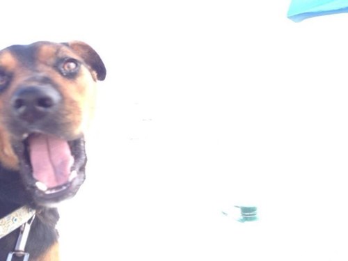 sailorlucero's profile picture. 