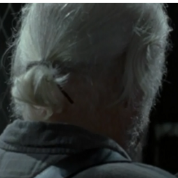 Hershel's ponytail - The Swaggiest, Waggiest tail of them all!