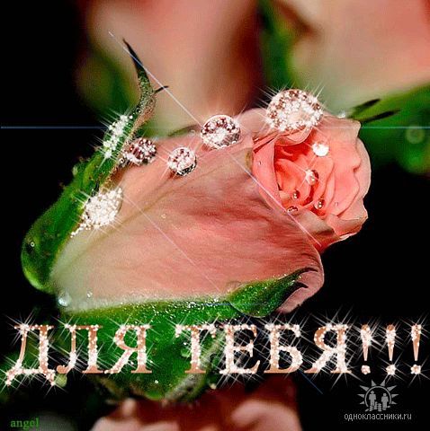 в