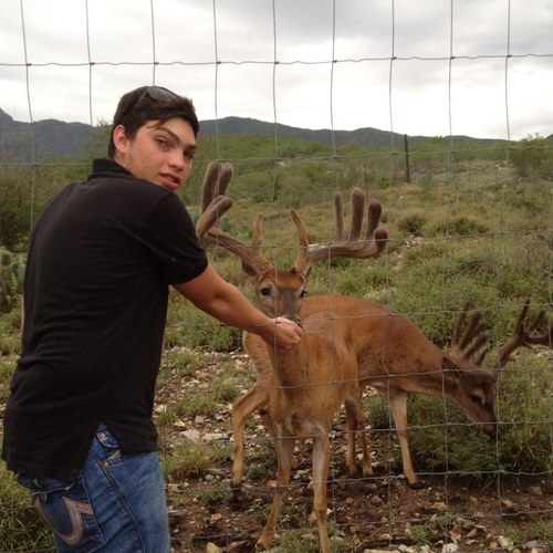 Nelsongzz911's profile picture. 