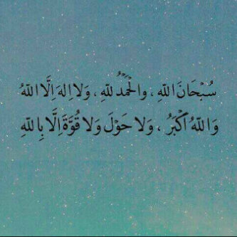 insta:saro_ak