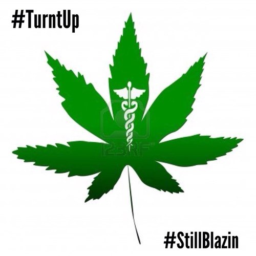 Stoner, follow for funny tweets! #StayTurntUp